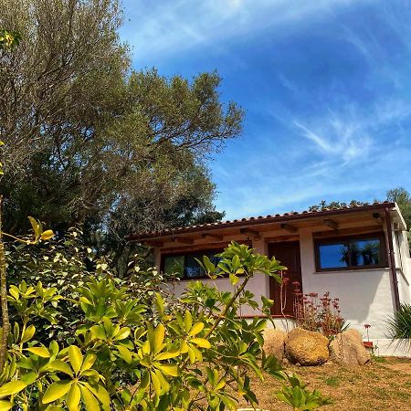 Casa Saltara (Adults Only) Βίλα Santa Teresa Gallura Εξωτερικό φωτογραφία