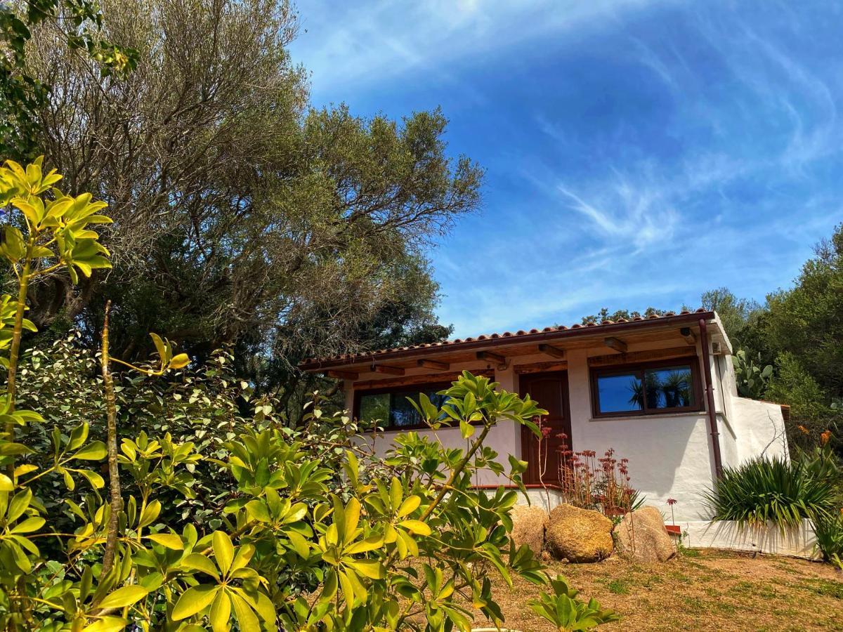 Casa Saltara (Adults Only) Βίλα Santa Teresa Gallura Εξωτερικό φωτογραφία