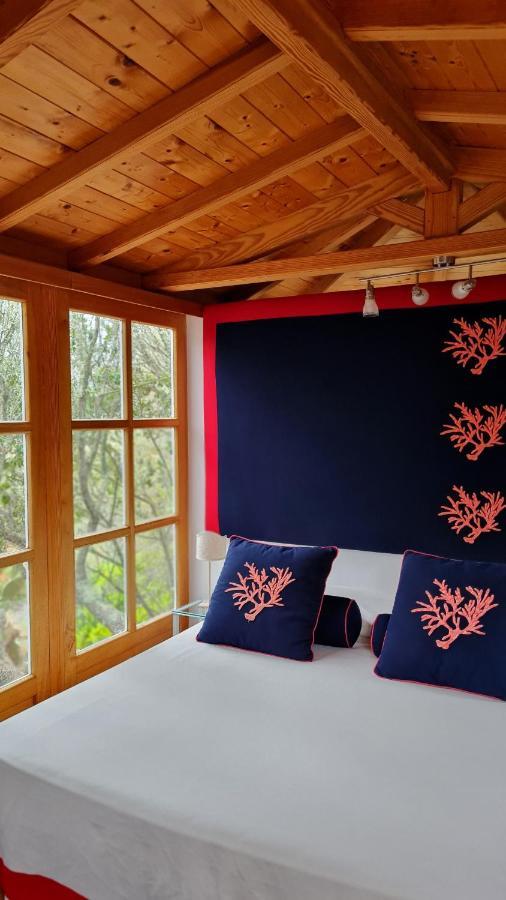 Casa Saltara (Adults Only) Βίλα Santa Teresa Gallura Εξωτερικό φωτογραφία