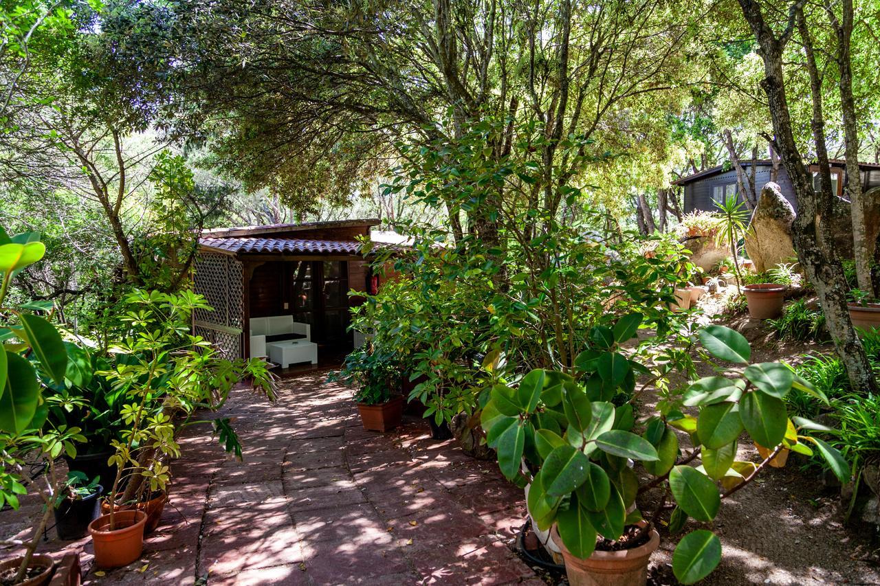 Casa Saltara (Adults Only) Βίλα Santa Teresa Gallura Εξωτερικό φωτογραφία