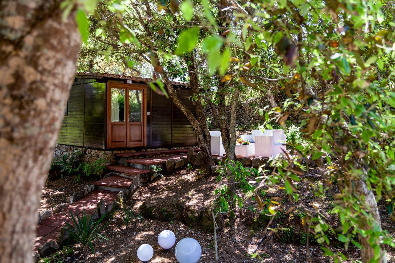 Casa Saltara (Adults Only) Βίλα Santa Teresa Gallura Εξωτερικό φωτογραφία