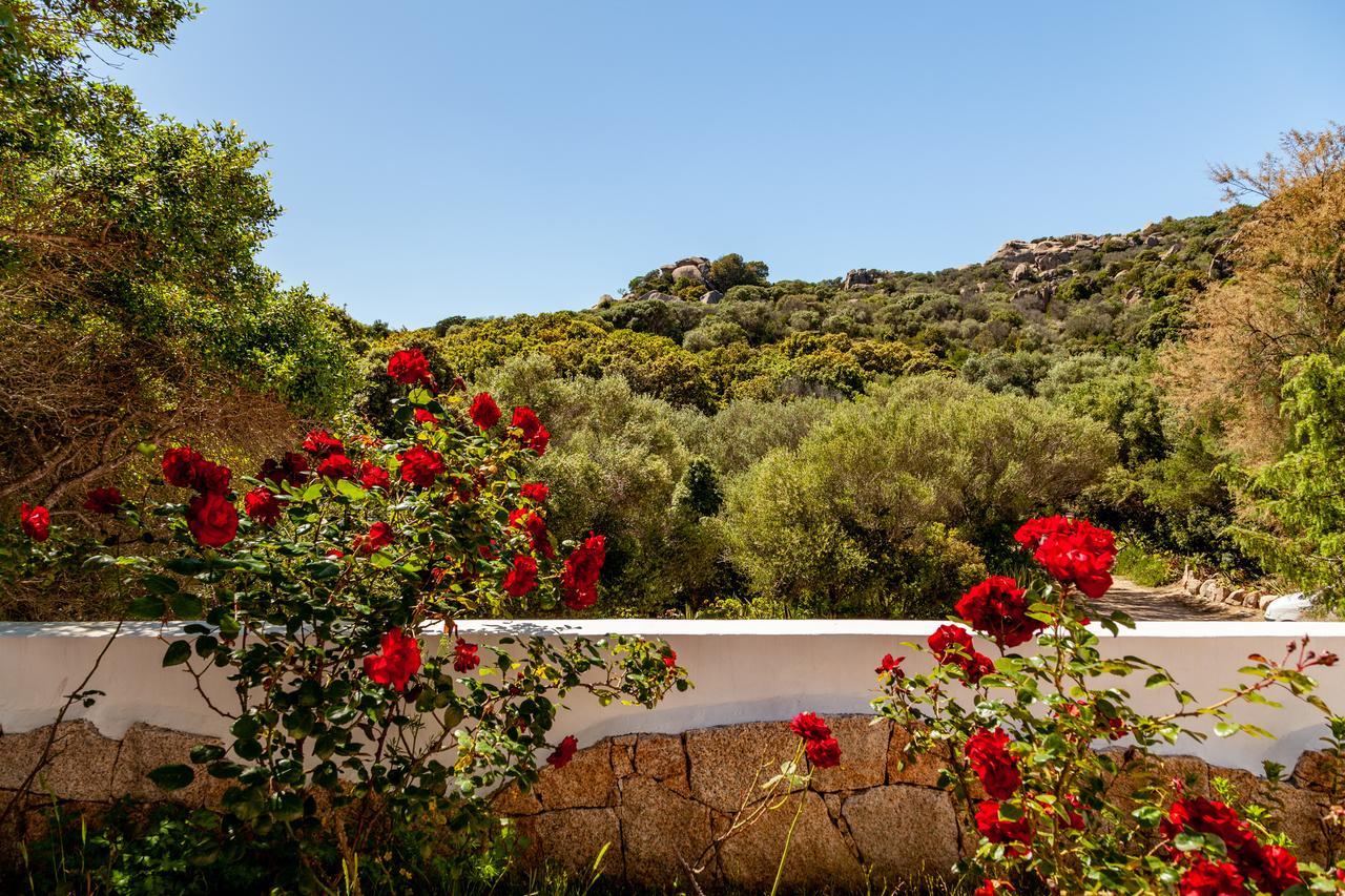 Casa Saltara (Adults Only) Βίλα Santa Teresa Gallura Εξωτερικό φωτογραφία