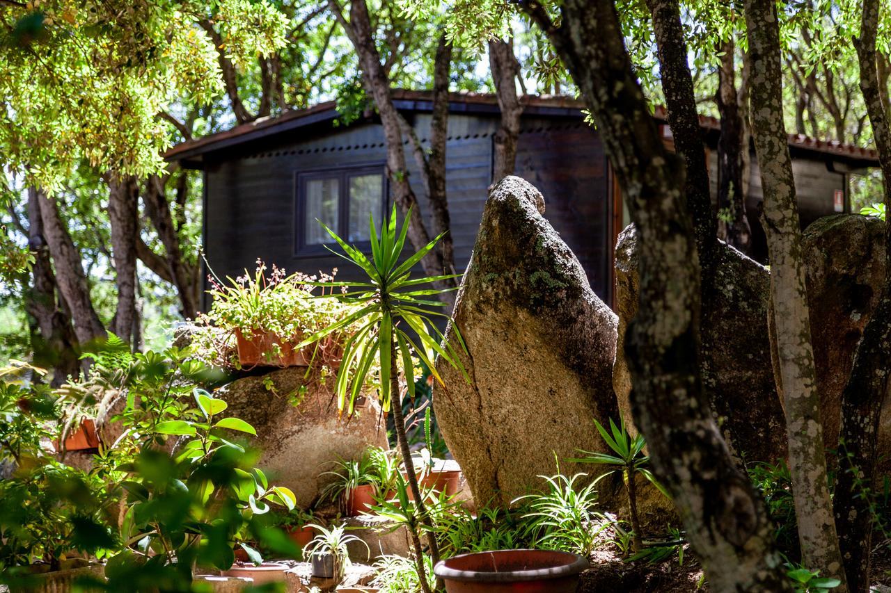 Casa Saltara (Adults Only) Βίλα Santa Teresa Gallura Εξωτερικό φωτογραφία