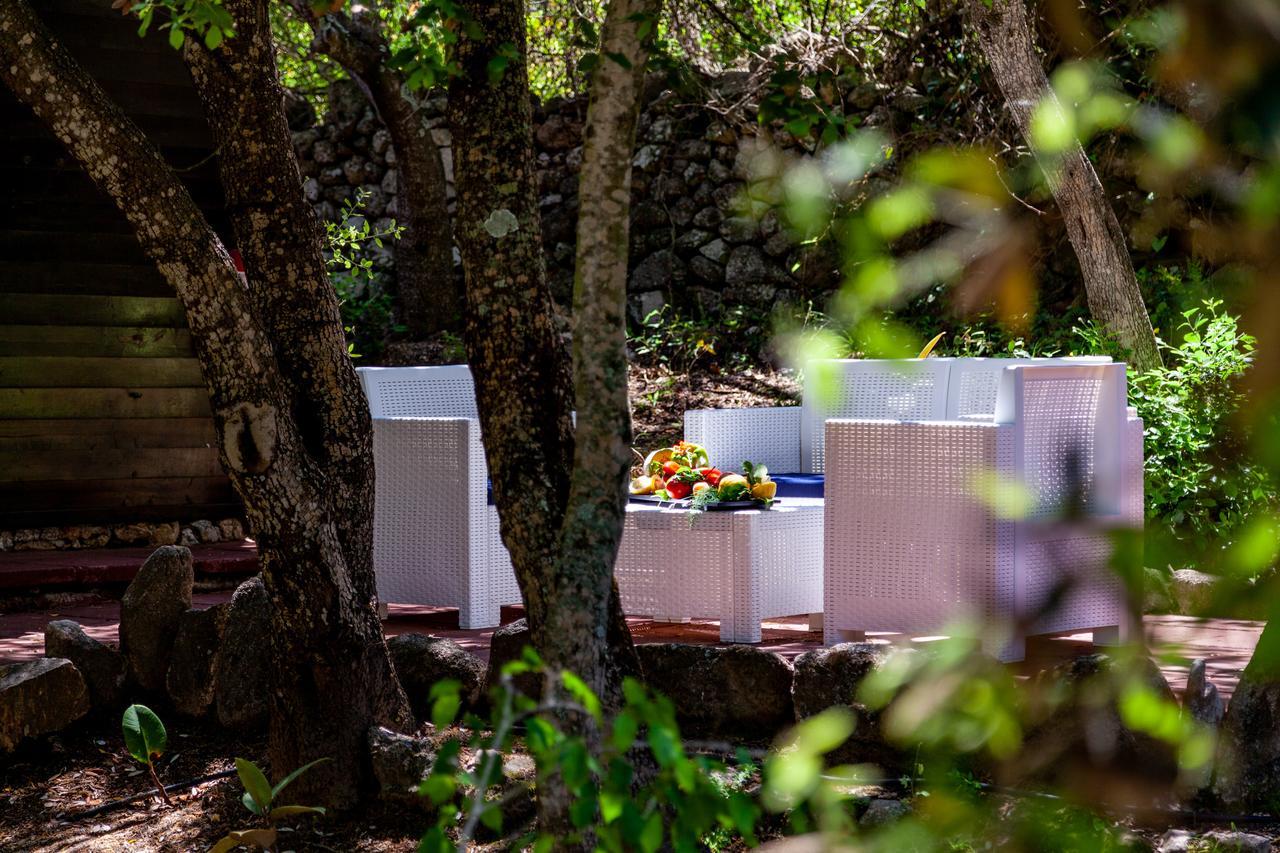 Casa Saltara (Adults Only) Βίλα Santa Teresa Gallura Εξωτερικό φωτογραφία